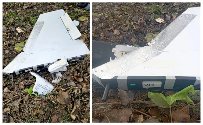 Și a noastră. În grădina din Vaslui