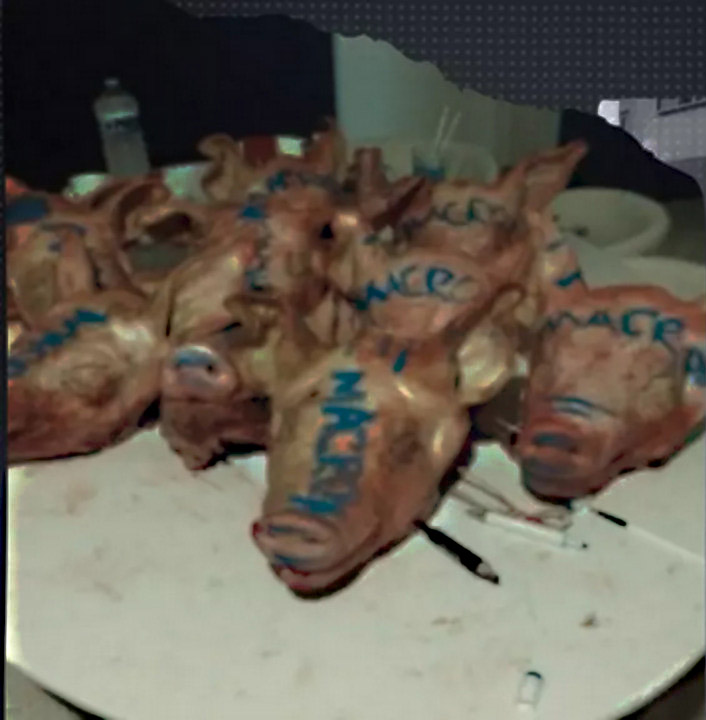 Operațiunea „Capete de porc”: Detalii din culisele campaniilor rusești de destabilizare și dezinformare în Franța